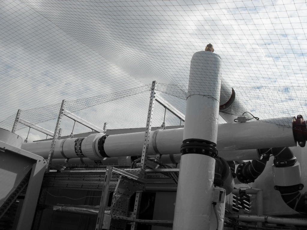 Bird Control in Birmingham, West Midlands